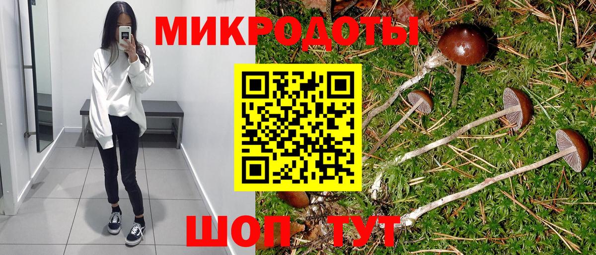 Псилоцибиновые грибы Cubensis Приморско-Ахтарск