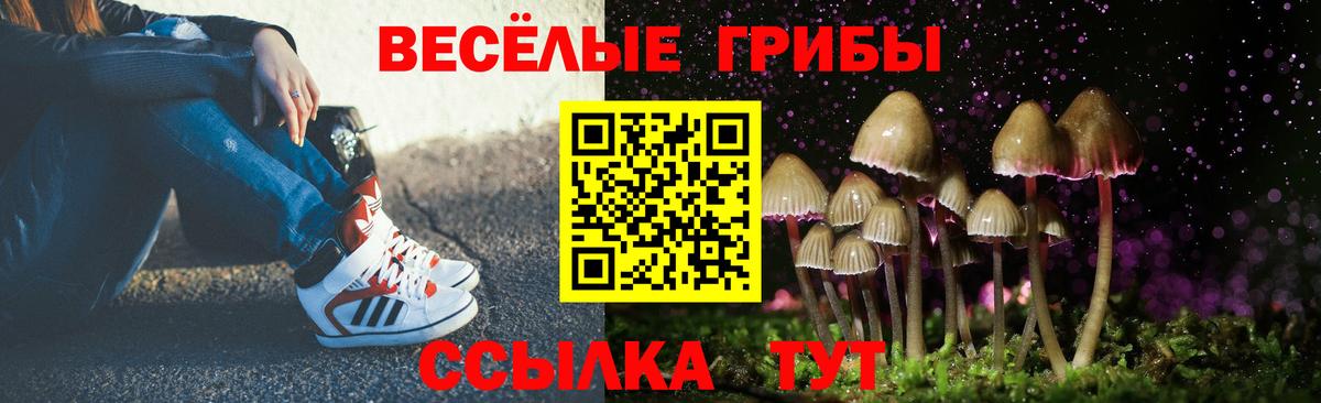 Приморско-Ахтарск  Галлюциногенные грибы Magic Shrooms  Вход с VPN 